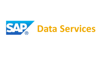 Logo Technologie SAP Data Services DeciVision