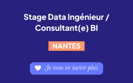 Recrutement Consultant(e) BI Nantes Stage