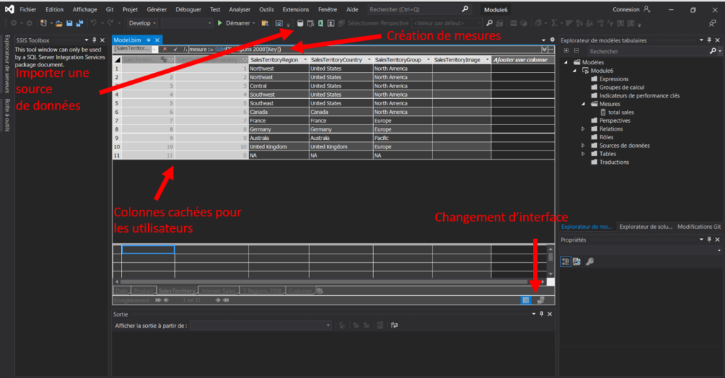 Présentation Interface vue grille - Microsoft Analysis Services