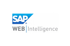 Logo Web Intelligence