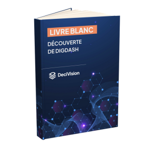 Livre blanc Digdash