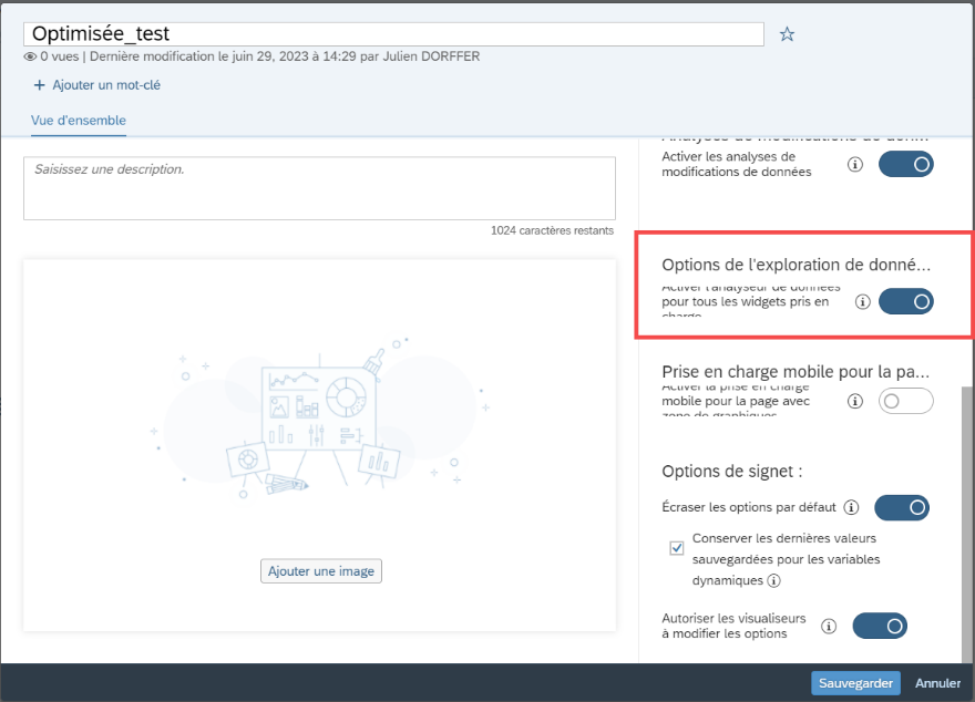 Option à cocher : analyseur de données