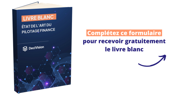 Demande de livre blanc Pilotage Finance : tableau de bord financier