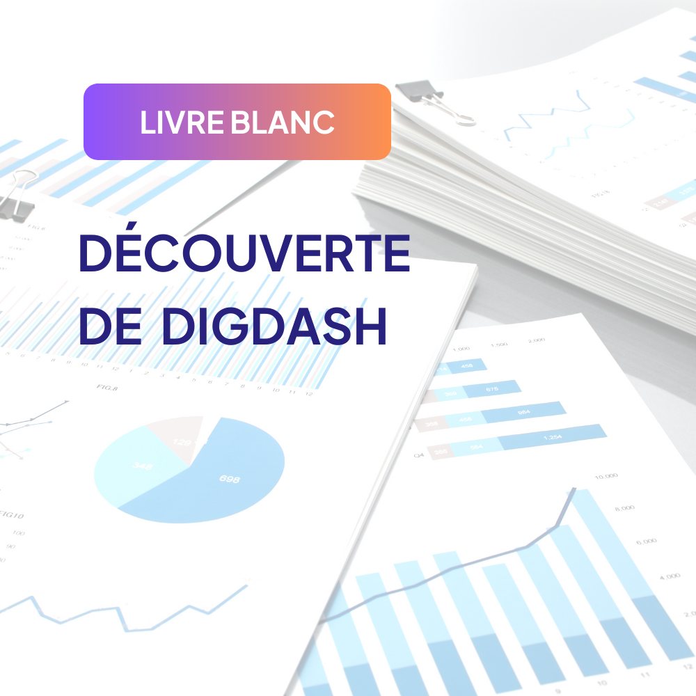 Livre blanc présentation DigDash