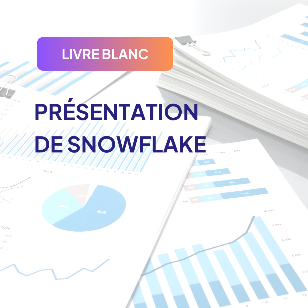 Livre blanc présentation Snowflake