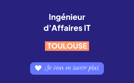Recrutement Ingénieur d'affaires IT - Toulouse