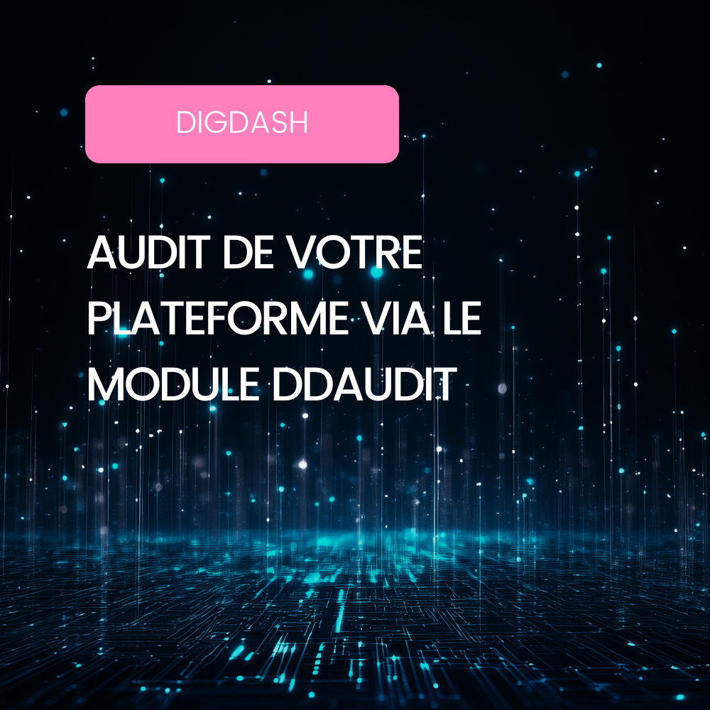affiche-blog-audit-plateforme-digdash