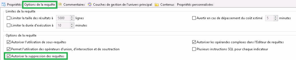 Web Intelligence : Options de la requête
