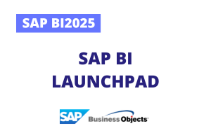 Formation SAP BI2025 : SAP BI Launchpad