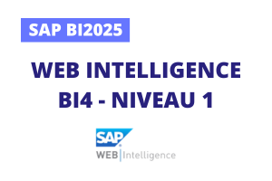 Formation SAP BI2025 : Web Intelligence Niveau 1