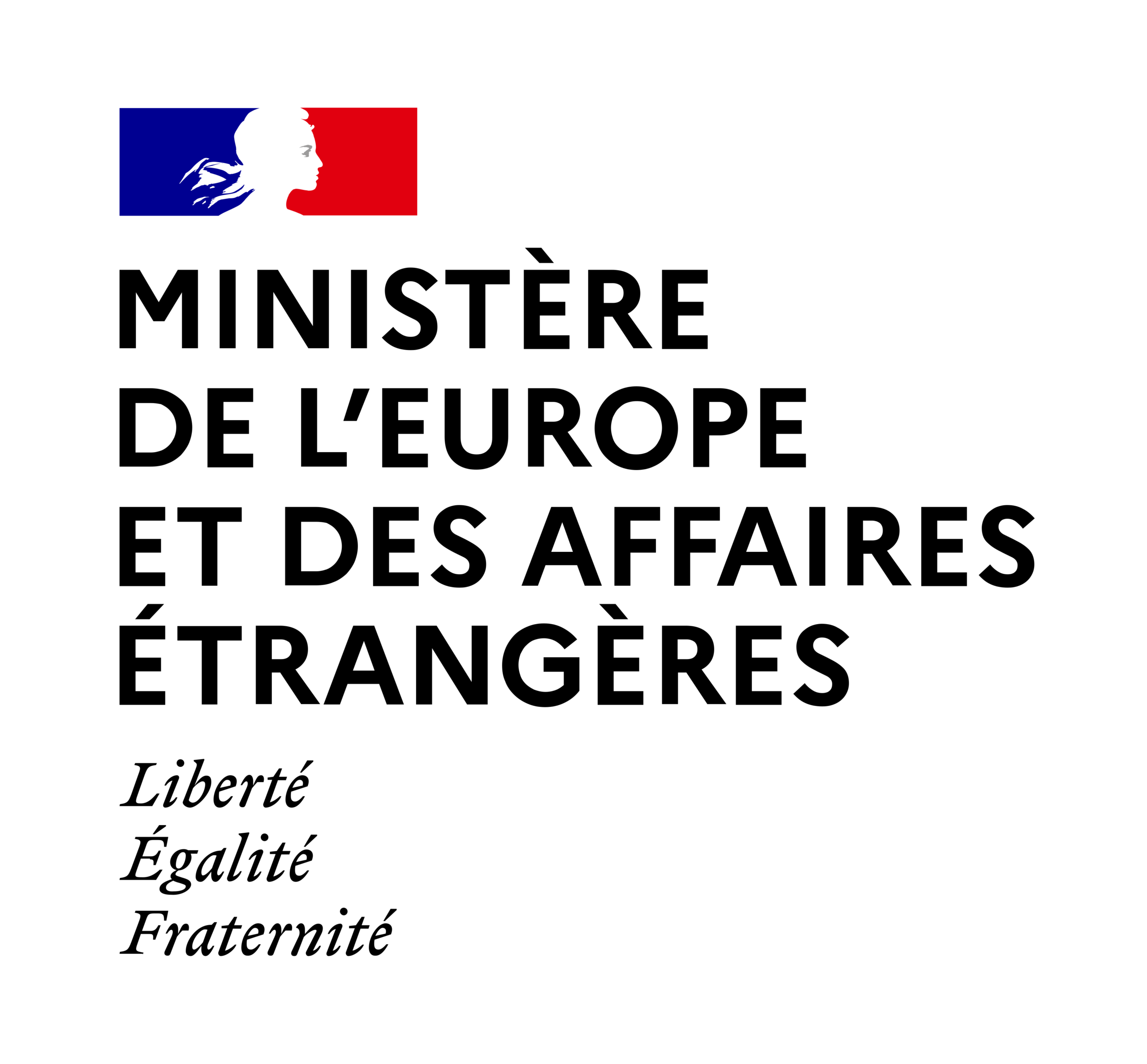 logo-ministere-europe-affaires-etrangeres-client-decivision