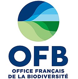 logo-ofb-client-decivision
