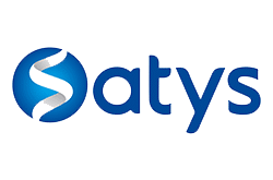 logo-satys-client-decivision