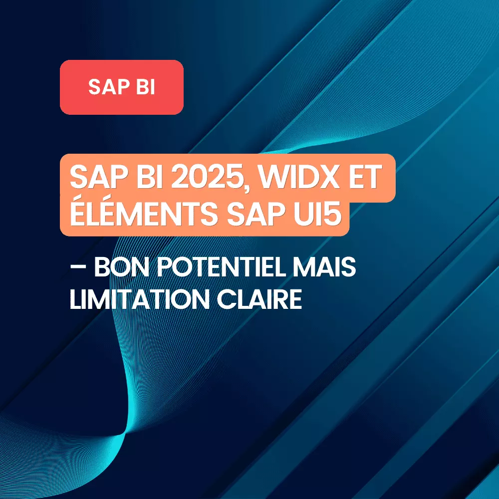 article-blog-sap-bi-2025-widx-et-éléments-sap-ui5