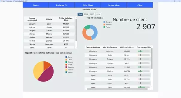 Exemple de rapport Web Intelligence avec éléments SAP UI5 interactifs - filtres et infobulles
