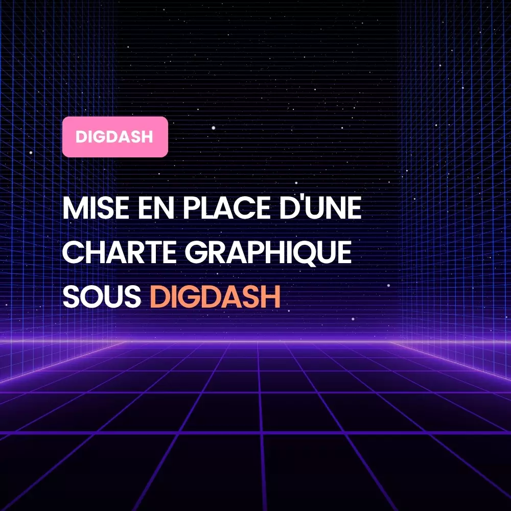 article-blog-mise-en-place-d-une-charte-graphique-sous-digdash