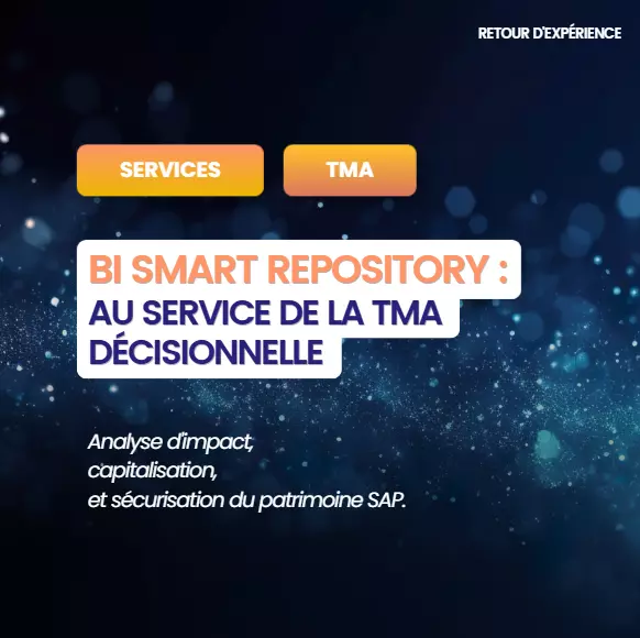 article-blog-retour-experience-bi-smart-repository