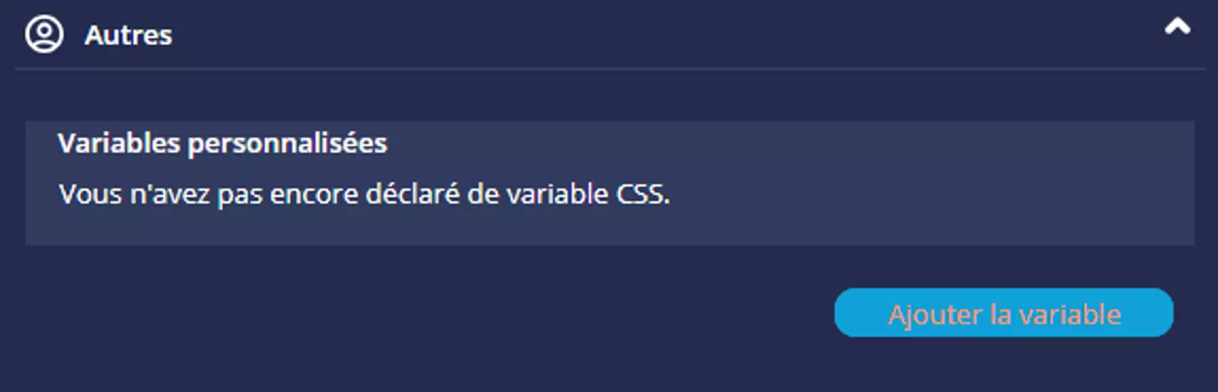 Section Autres de l'éditeur de thèmes DigDash : interface de déclaration de variables CSS personnalisées avec le bouton Ajouter la variable
