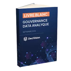 livre-blanc-gouvernance-data-analytique